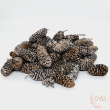  Birch pine - falfestékes salmon dekorációs kellék