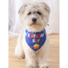  "Birthday boy" csontocskás születésnapi kendő kutyáknak kutyaruha