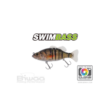 Biwaa SWIMBASS 6" SLOW SINK 15cm 65gr 02 Real Perch csali