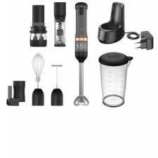 Black & Decker BCKM1016KSG botmixer