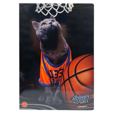  Blasetti kockás füzet - A4 38 lapos - Activity Pets cicás füzet