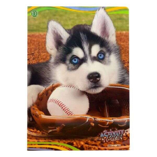Blasetti kockás füzet - A4 38 lapos - Activity Pets husky kutyás füzet
