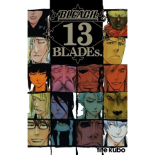  Bleach Data book - 13th Blades – Tite Kubo idegen nyelvű könyv