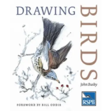 Bloomsbury Publishing Drawing Birds | John Busby egyéb könyv