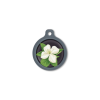 Blucky Jasmine Black Dog Tag large