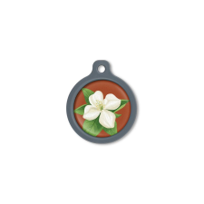 Blucky Jasmine Brown Dog Tag large nyakörv, póráz, hám kutyáknak