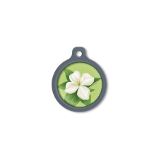 Blucky Jasmine Lime Green Dog Tag large nyakörv, póráz, hám kutyáknak