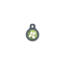 Blucky Jasmine Lime Green Dog Tag small nyakörv, póráz, hám kutyáknak