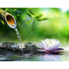  Blueback MAT bazalt kövek - tavirózsa - bambusz - zen tapéta, 300 x 200 cm tapéta, díszléc és más dekoráció