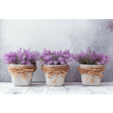  Blueback MAT Flori71 tapéta, 250 x 200 cm tapéta, díszléc és más dekoráció