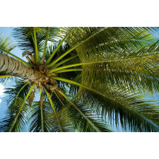  Blueback MAT Fotótapéta, Pálmafa alatt, 250 x 200 cm tapéta, díszléc és más dekoráció