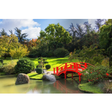  Blueback MAT Fotótapéta, Természet 166, Japánkert, 300 x 200 cm tapéta, díszléc és más dekoráció