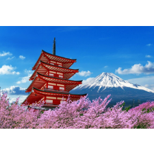  Blueback MAT fotótapéta, Virágok, Pagoda virágzó cseresznyével, 300 x 200 cm tapéta, díszléc és más dekoráció