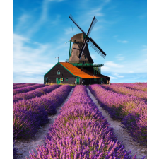  Blueback Mat Levendula 8 Tapéta, 200 x 255 cm tapéta, díszléc és más dekoráció