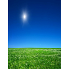  Blueback MAT Natura102 tapéta, 200 x 255 cm tapéta, díszléc és más dekoráció