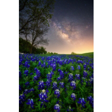  Blueback MAT Natura39 tapéta, 200 x 255 cm tapéta, díszléc és más dekoráció