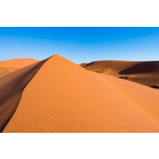  Blueback MAT Natura73 fotótapéta, 250 x 200 cm tapéta, díszléc és más dekoráció