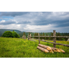  Blueback MAT Nyomtatott tapéta, rét és erdő, 220 x 135 cm tapéta, díszléc és más dekoráció