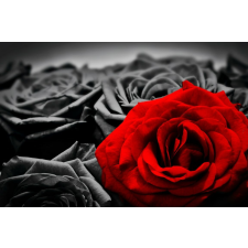  Blueback MAT Nyomtatott tapéta, rózsák, 270 x 200 cm tapéta, díszléc és más dekoráció