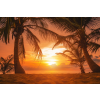  Blueback MAT Plaja78 Pálmafák a naplementében tapéta, 250 x 200 cm