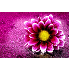  Blueback MAT "Harmatos margaréta" tapéta, 250 x 200 cm tapéta, díszléc és más dekoráció