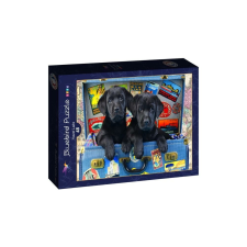 Bluebird Kids 48 db-os puzzle - Travel Labs (90053) puzzle, kirakós