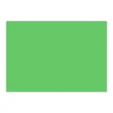 BLUERING Dekor karton 2 oldalas 48x68cm, 300g. 25ív/csomag, Bluering® világoszöld