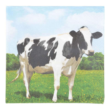  Bocis szalvéta (TP182) papírárú, csomagoló és tárolóeszköz