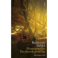 Boldizsár Ildikó Hamupipőke Facebook-profilja társadalom- és humántudomány