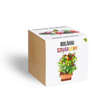 Bolíviai szivárvány chili paprika növényem fa kaspóban fa és növény