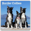  Border Collies 2026 - 16-Monatskalender (Kalendář/Diář)