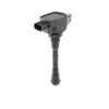 BorgWarner (BERU) gyújtótekercs ZSE214