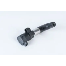 BorgWarner (BERU) gyújtótekercs ZSE254 autóalkatrész