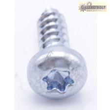 Bosch CSAVAR ST4,2X13 FZB TORX20 beépíthető gépek kiegészítői