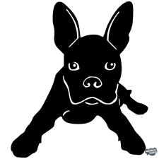  Boston terrier matrica 3 matrica