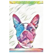  Boston Terrier – Twisted Grounhog Publishing,Tammie Chrin idegen nyelvű könyv
