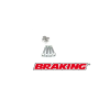 Braking KR0200 csavar és alátét készlet Braking Vázak, idomok, kiegészítők Csavarok és alkatrészek