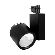 Braytron LED reflektor, 30W, hideg fény (5000 K), 2600 lm, fekete, Braytron világítás