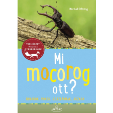 Bärbel Oftring - Mi mocorog ott? gyermek- és ifjúsági könyv