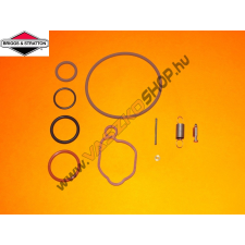 Briggs & Stratton Karburátor javító készlet Briggs 590589 barkácsgép tartozék