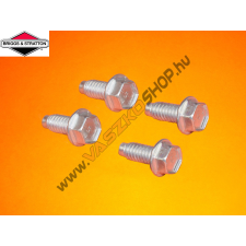 Briggs & Stratton Szelepdekni fedél csavar Briggs 691108 barkácsgép tartozék