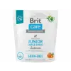 Brit Care Dog Grain-free Junior Large Breed 1 kg
