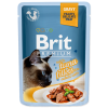 Brit Premium Delicate Fillets in Gravy with Tuna 24x85 g