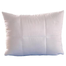 Brotex Polštář Aloe Vera 45×60cm se zipem lakástextília