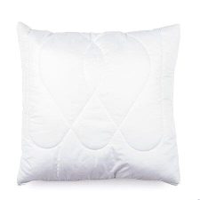 Brotex Polštářek Aloe Vera 40×40cm se zipem lakástextília