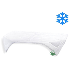 Brotex Zimní přikrývka Aloe Vera 140×200cm 1300g lakástextília