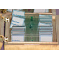 BTC Mikroszkóp preparátumok (25db, Anatómia: gerincesek) (#B) távcső kiegészítő