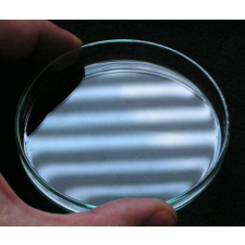 BTC Petri csésze 100mm átmérőjű, optikai üvegből készült fedővel távcső kiegészítő