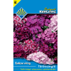 BUDAPESTI KERTIMAG BALKON VIRÁG TÖRÖKSZEGFŰ TELT ALACS.SZK.