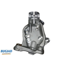 BUGIAD tengelycsonk, kerékfelfüggesztés BUGIAD BSP25149 autóalkatrész